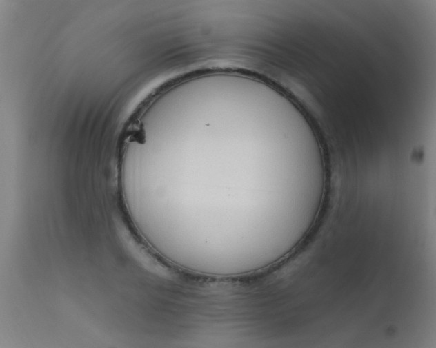 X0000110710934200907022019