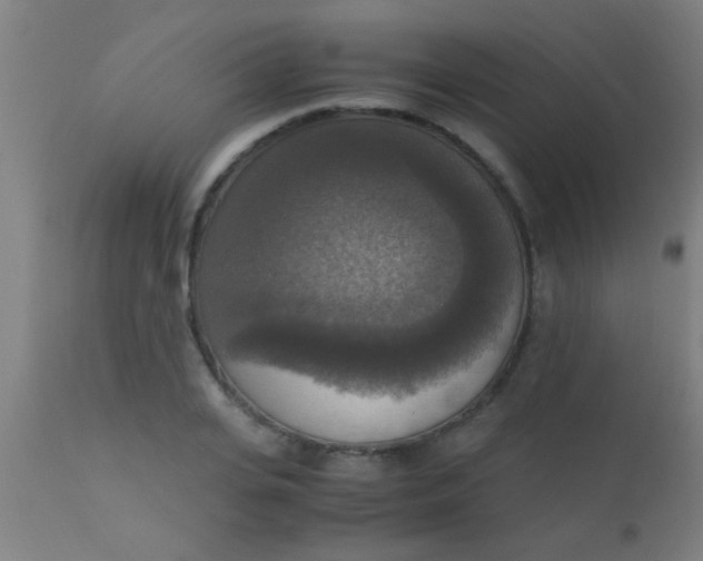 X0000110710935200907022019