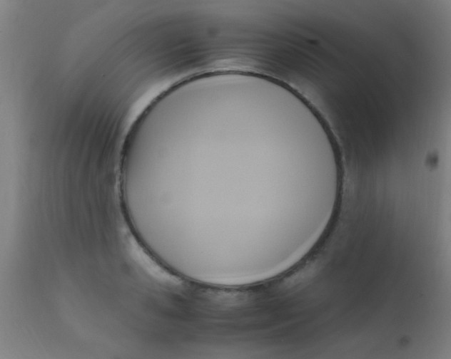 X0000110710941200907022019