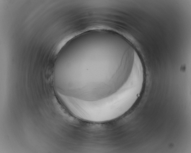 X0000110710945200907022019