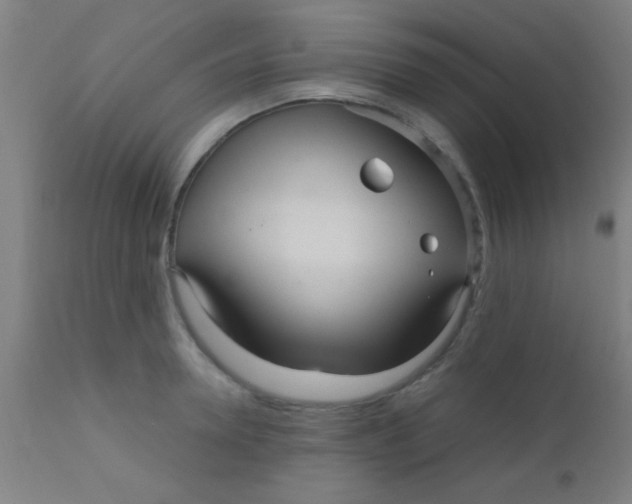 X0000110710946200907022019