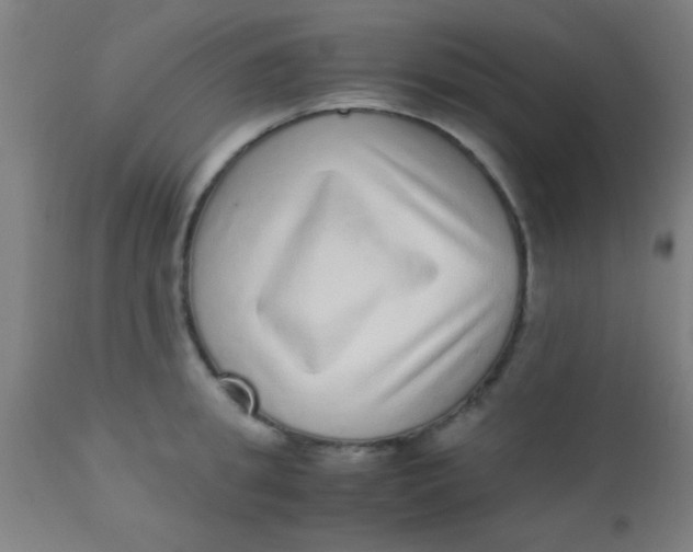 X0000110710949200907022019