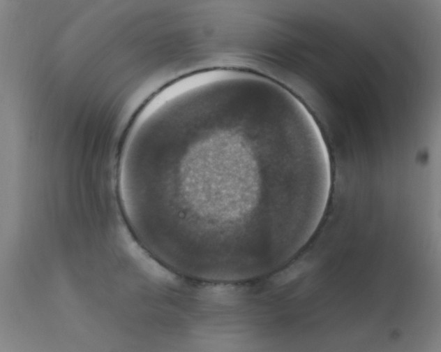 X0000110710950200907022019