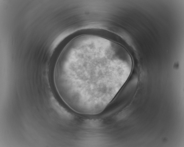 X0000110710952200907022019