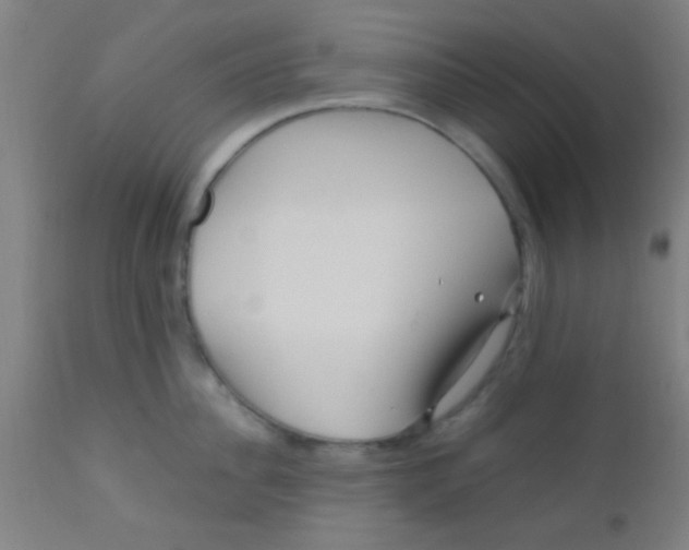 X0000110710956200907022019