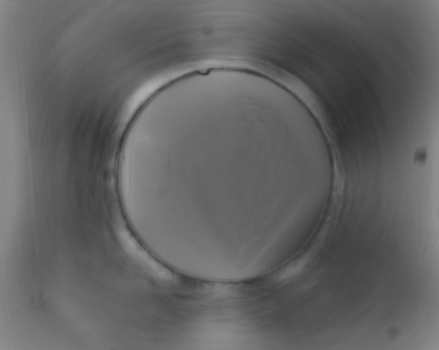 X0000110710958200907022019