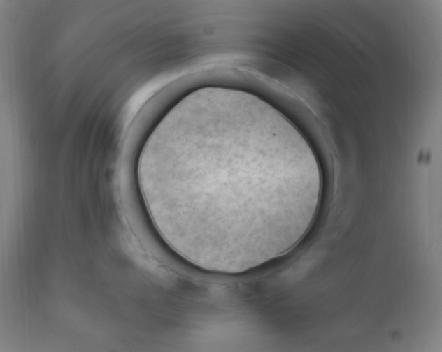 X0000110710960200907022020