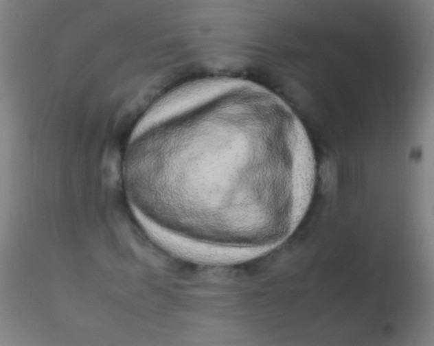 X0000110710963200907022019