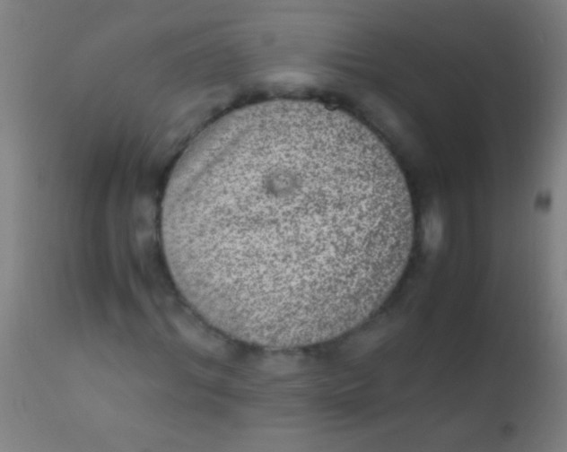 X0000110710964200907022019