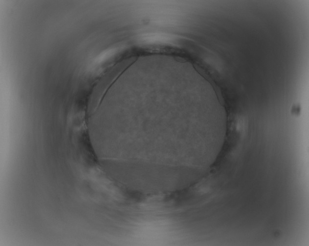 X0000110710965200907022019