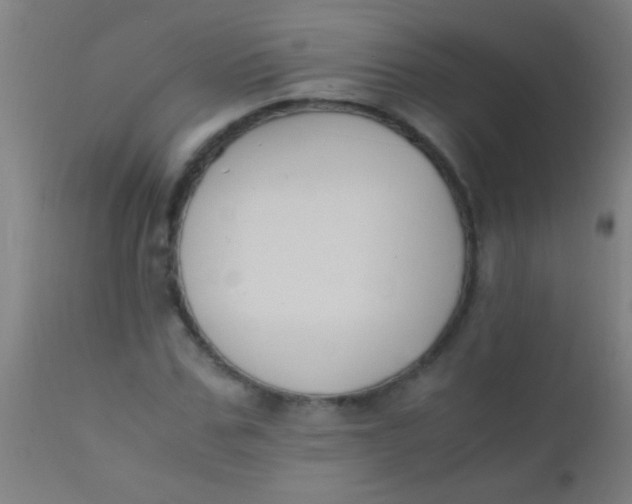 X0000110710971200907022019