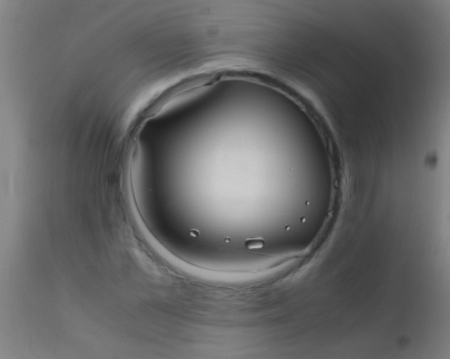 X0000110710973200907022019