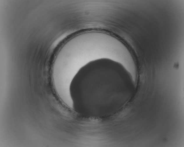 X0000110710975200907022019