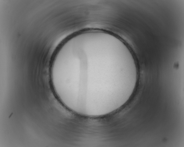 X0000110710976200907022019