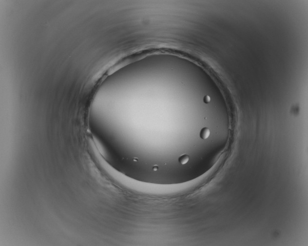 X0000110710977200907022019