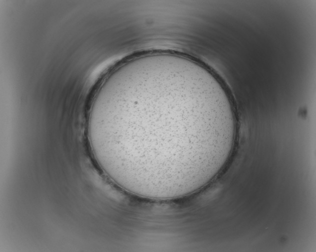 X0000110710979200907022019