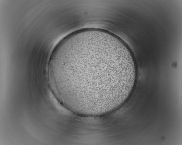 X0000110710980200907022019
