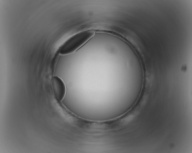 X0000110710981200907022019
