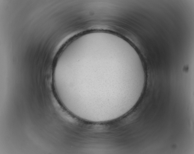 X0000110710984200907022018