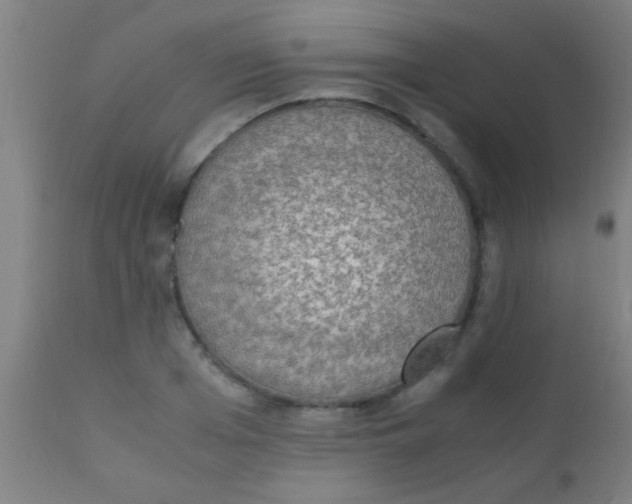 X0000110710985200907022018