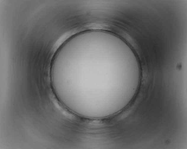 X0000110710986200907022018