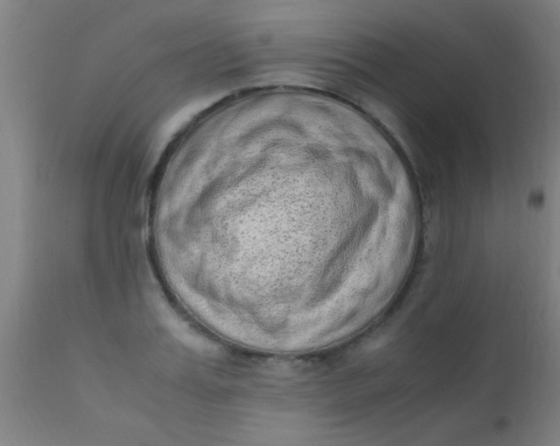 X0000110710987200907022018