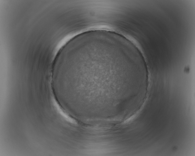 X0000110710989200907022018