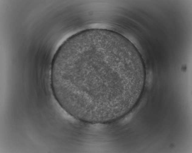 X0000110710992200907022018