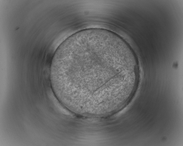 X0000110710993200907022018