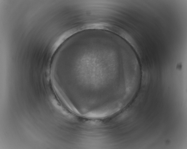X0000110710994200907022018
