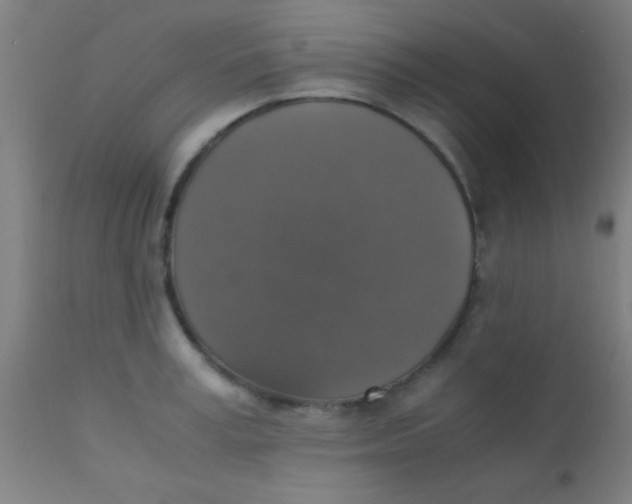 X0000110710995200907022018