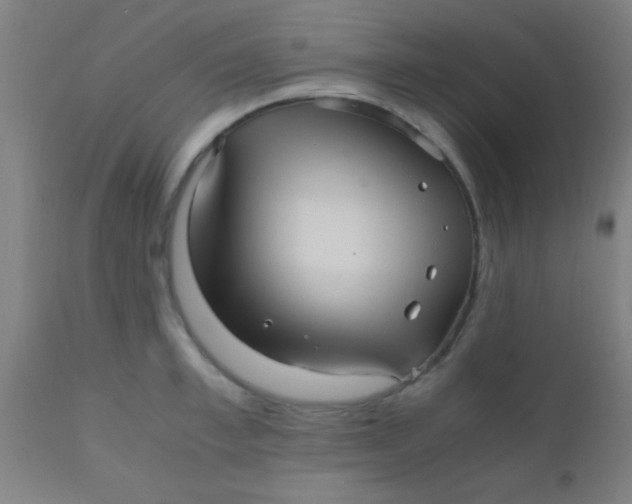 X0000110710997200907022018
