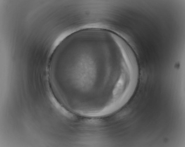 X0000110710998200907022018