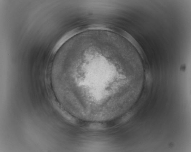 X0000110711002200907022018