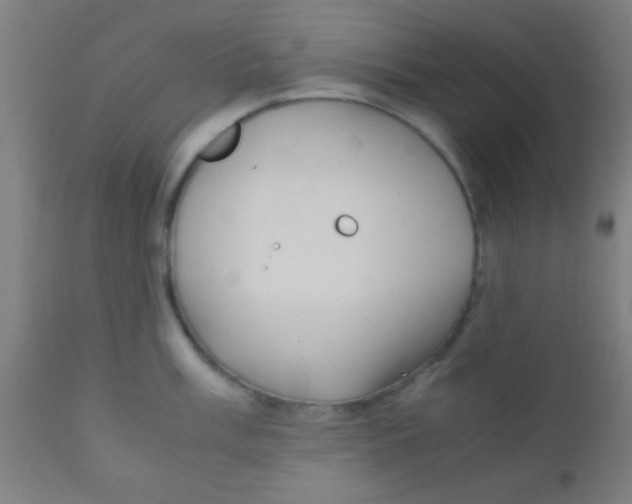 X0000110711003200907022018