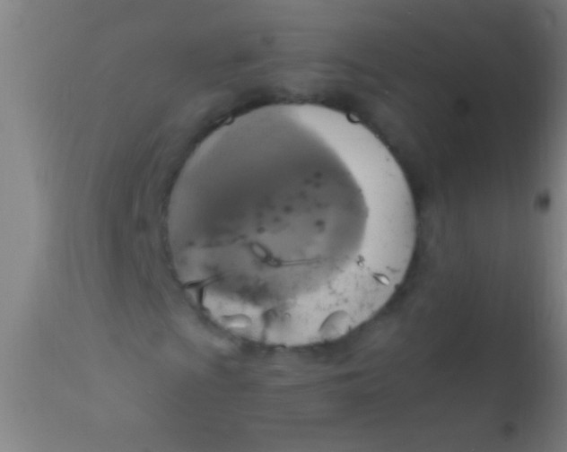 X0000110711009200907022017