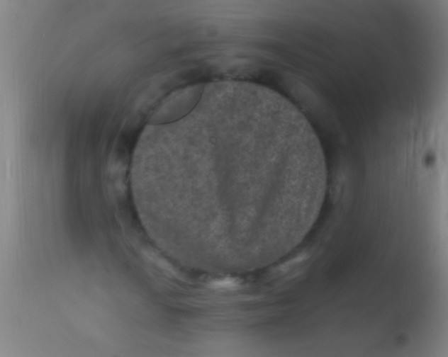 X0000110711010200907022017