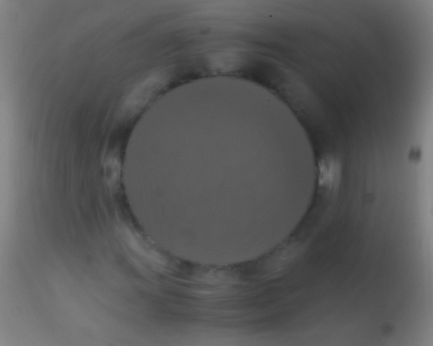X0000110711011200907022017