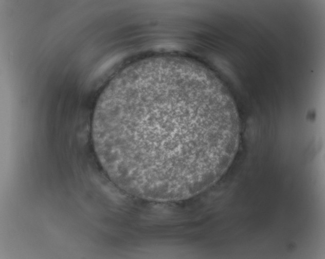 X0000110711015200907022017