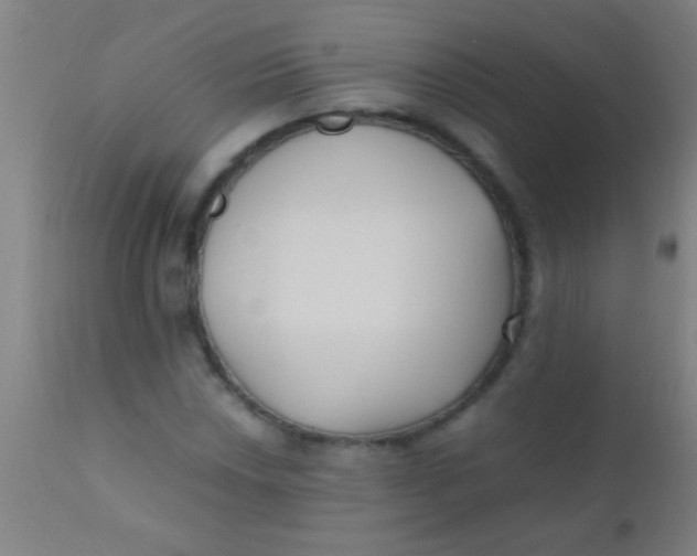 X0000110711018200907022017