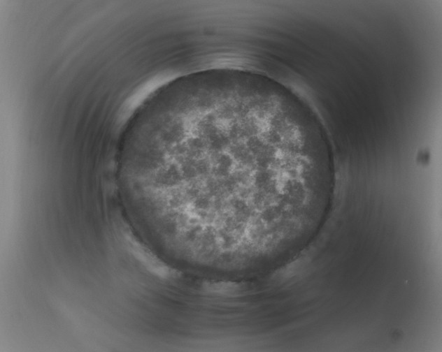 X0000110711019200907022017