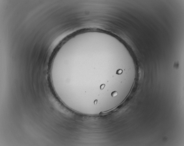 X0000110711020200907022017