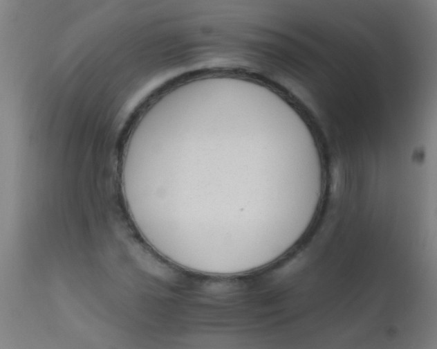 X0000110711021200907022017