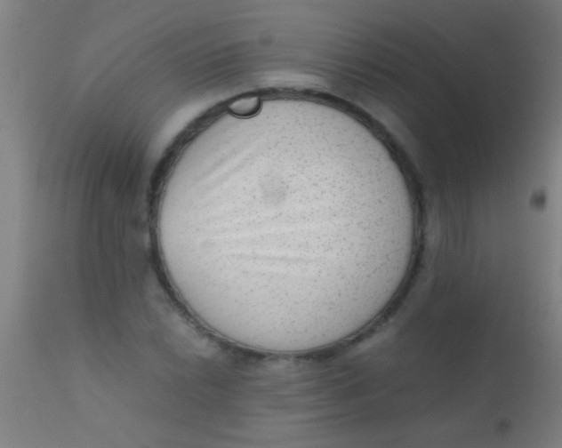 X0000110711022200907022017
