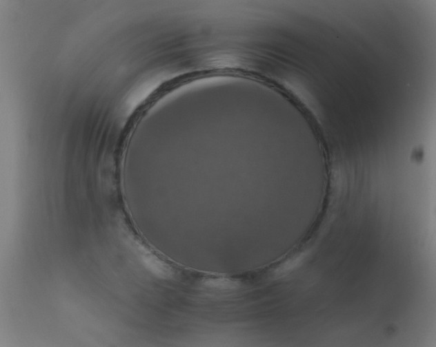 X0000110711023200907022017