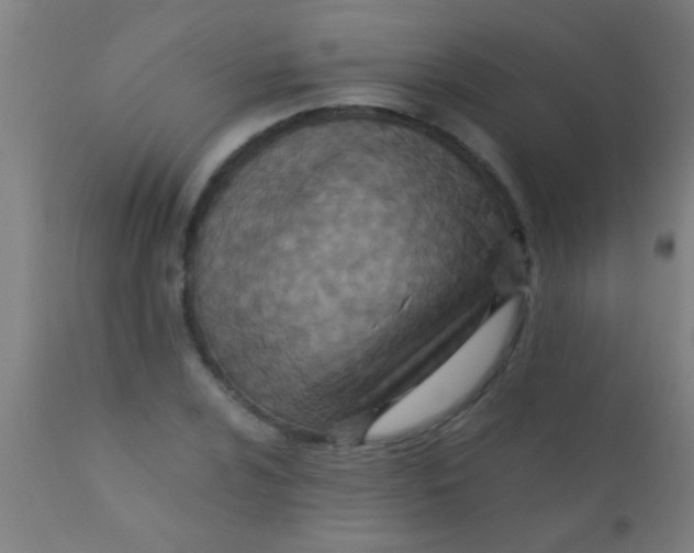X0000110711024200907022017