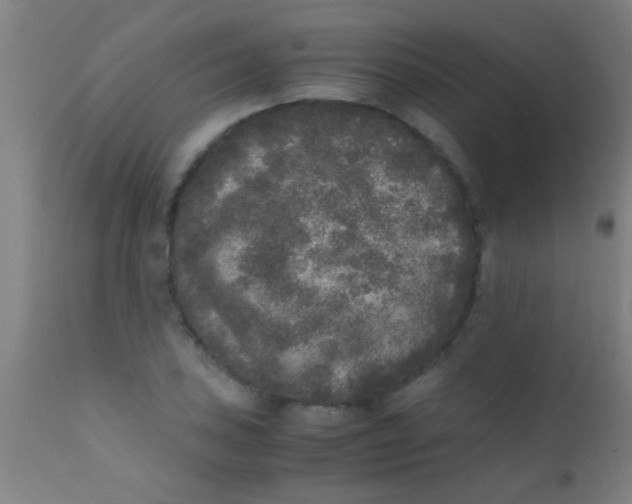 X0000110711027200907022017