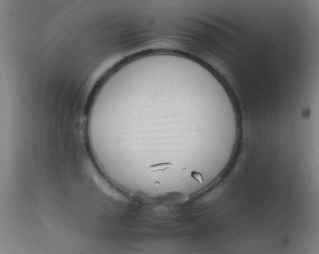 X0000110711029200907022017