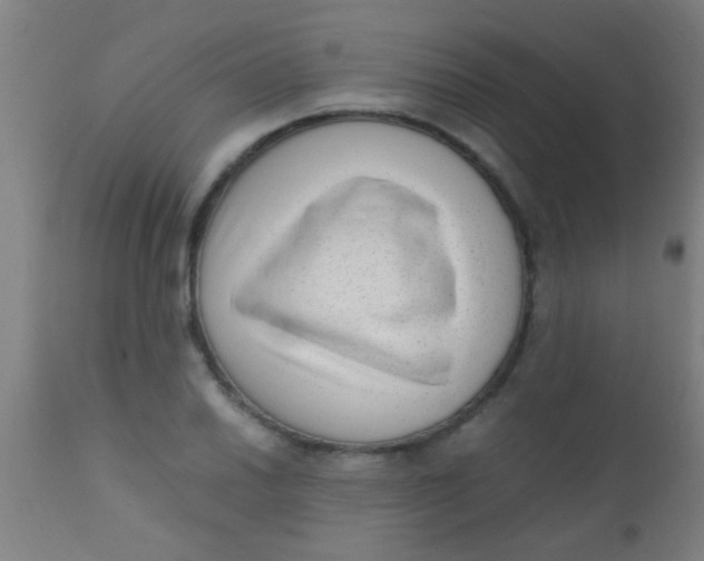 X0000110711030200907022018