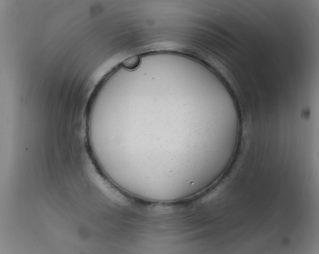 X0000110711034200907022018